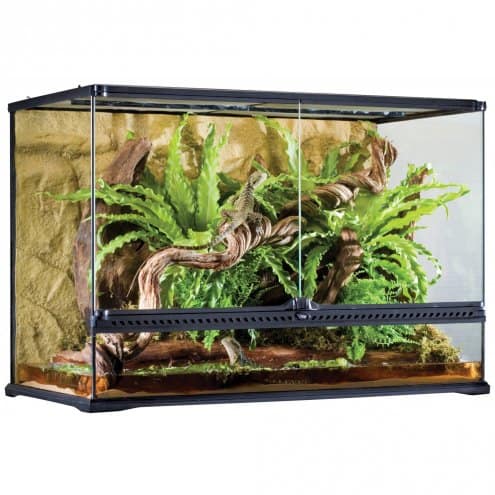 Exo Terra Terarium for Tokay Geckos