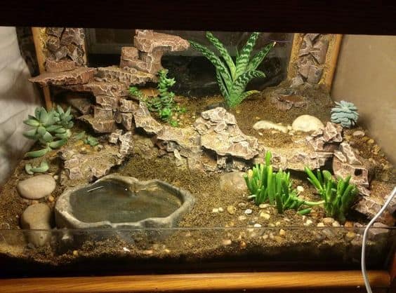 Leopard Gecko Cage