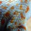 Tokay Gecko morphs colors