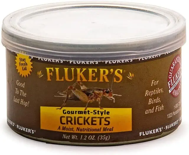 Canned Crickets