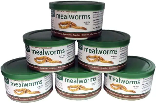 Canned Mealworms