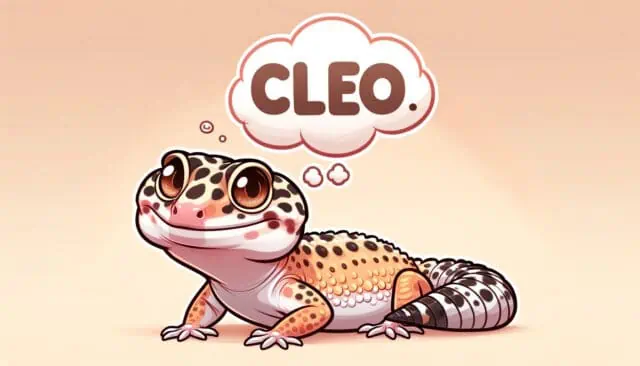 Female Leopard Gecko Names