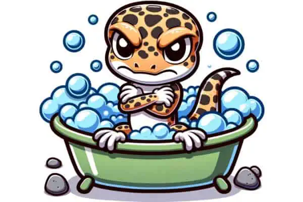 Leopard Gecko Taking a Bath