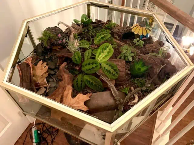 3-in-1 Desert Reptile Hide Cave - Naturalistic Habitat For Leopard Geckos & Snakes With Cactus Decor
