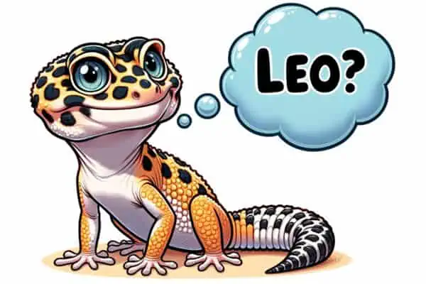 What are good names for Leopard Geckos