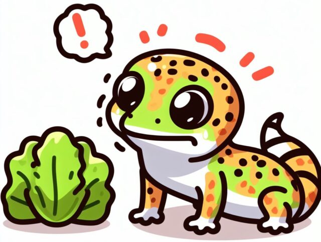 leopard gecko lettuce